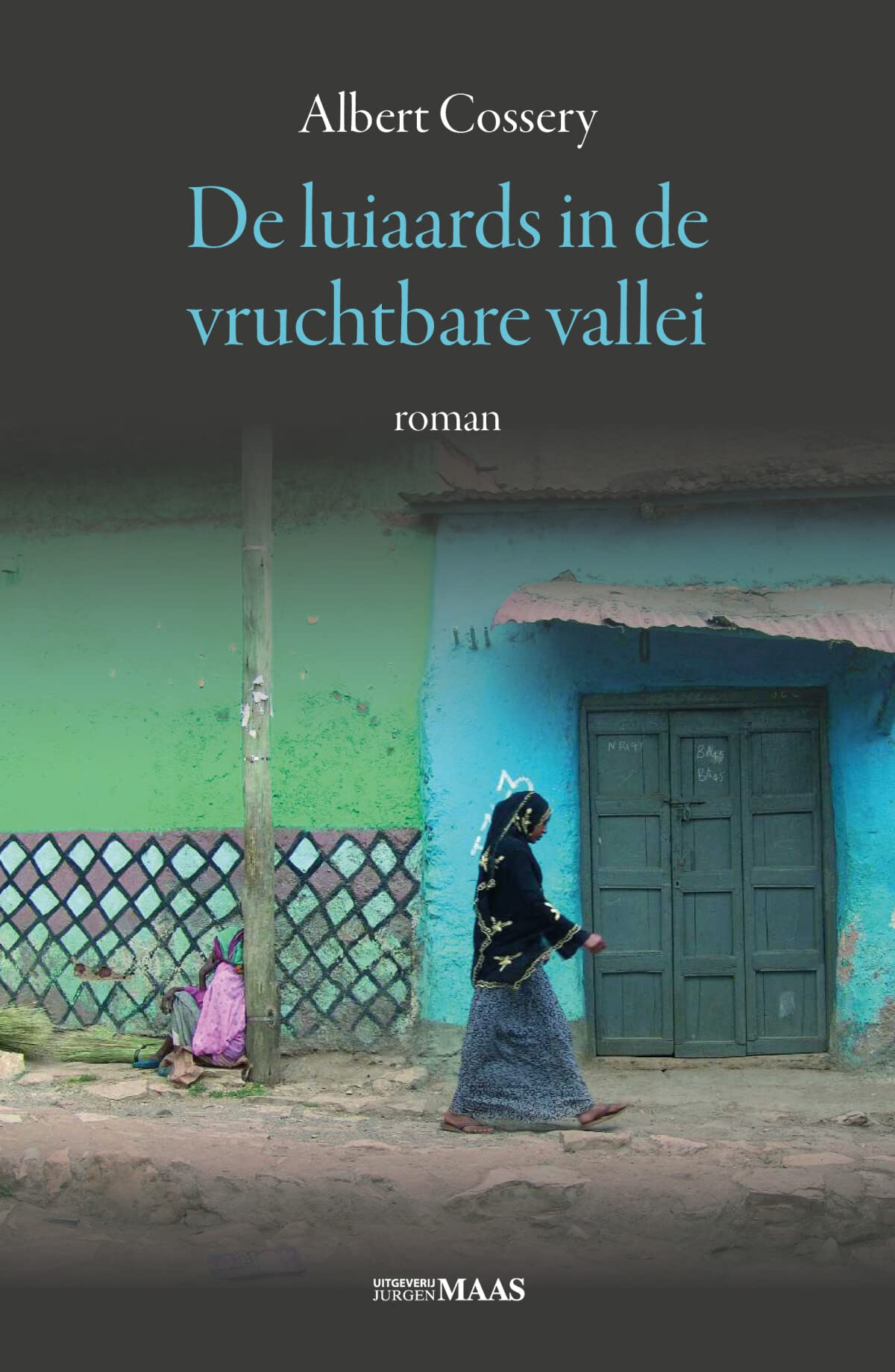 De luiaards in de vruchtbare vallei: roman book