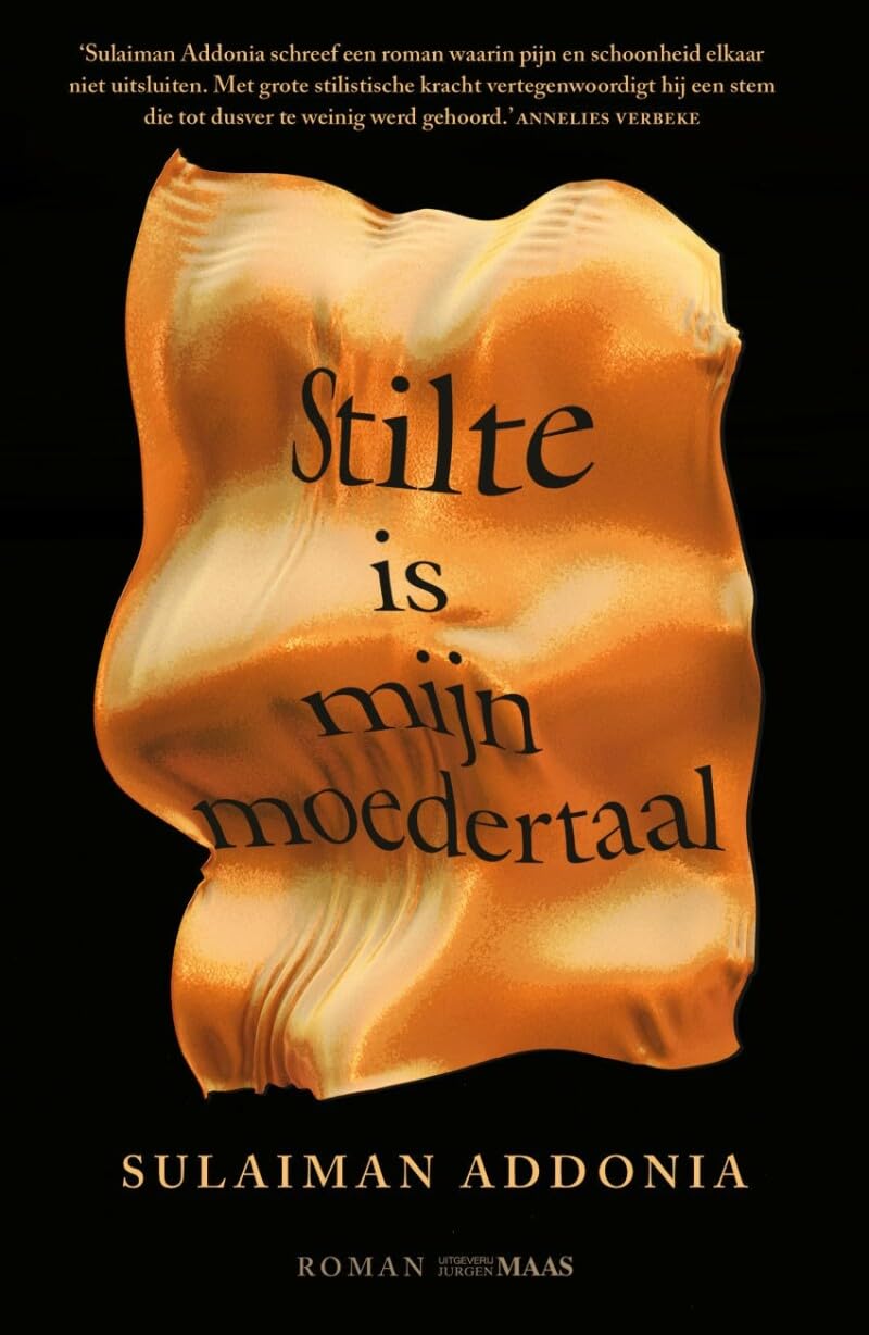 Stilte is mijn moedertaal: roman book