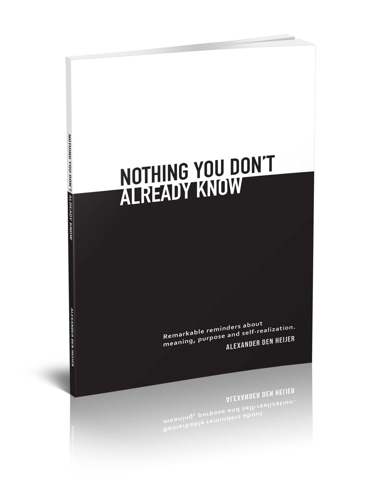 Nothing you don't already know: Remarkable reminders about meaning, purpose, and self-realization book