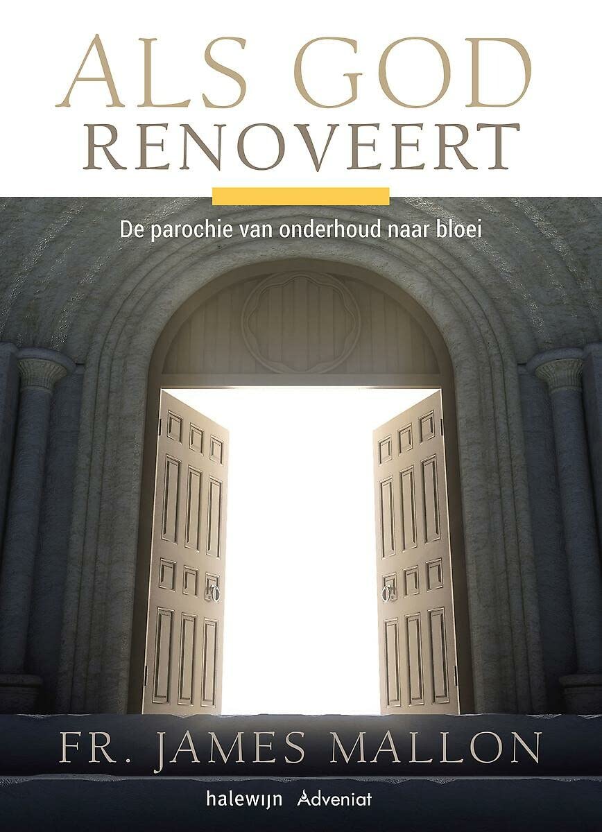 Als God renoveert: de parochie van onderhoud naar bloei book