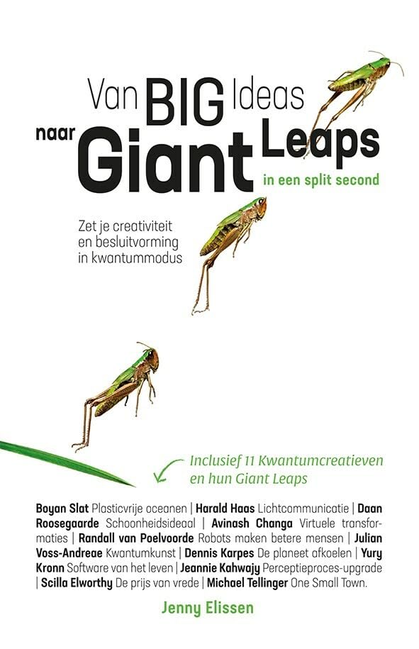 Van big ideas naar giant leaps in een split second: zet je creativiteit en besluitvorming in kwantummodus book