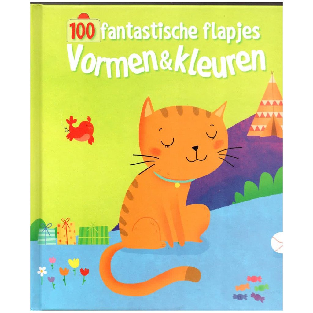 100 fantastische flapjes Vormen en kleuren Books