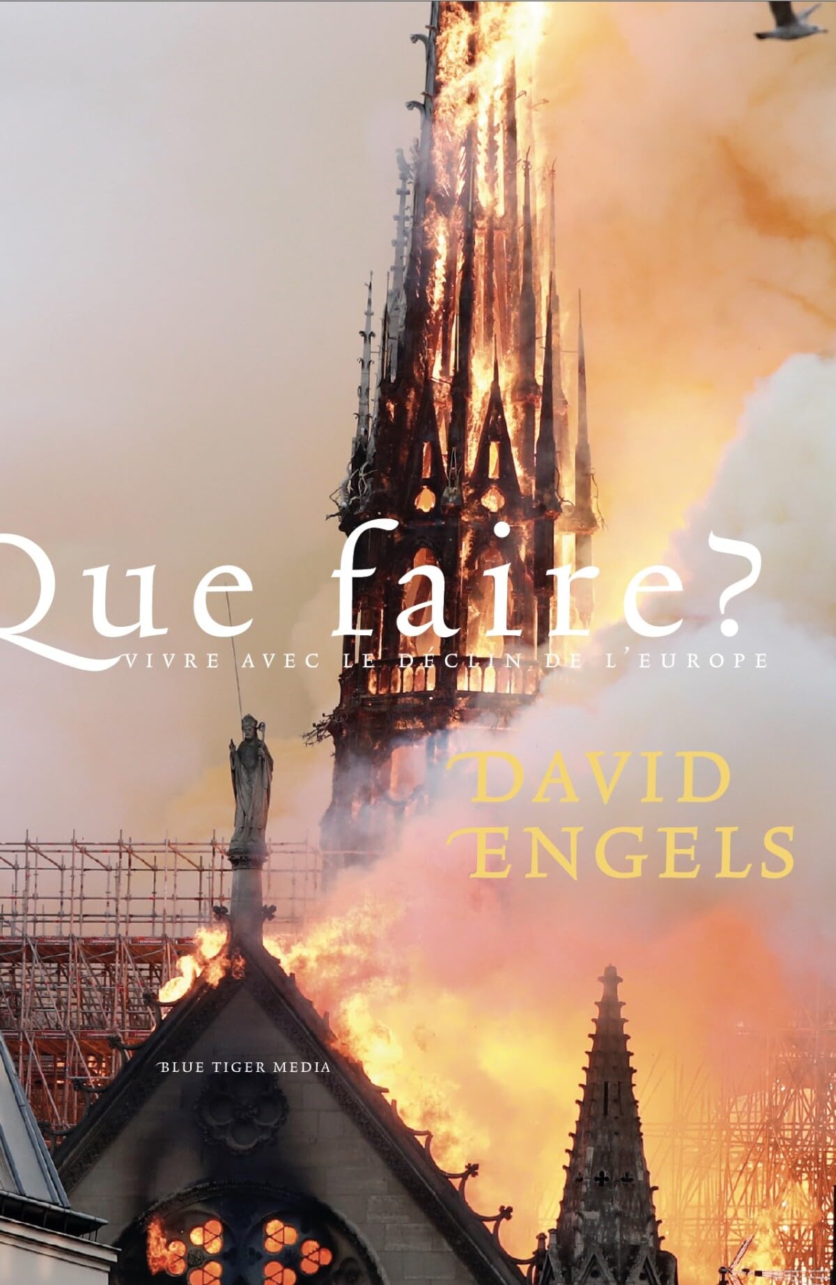 Que Faire?: Vivre avec le déclin de l’Europe book