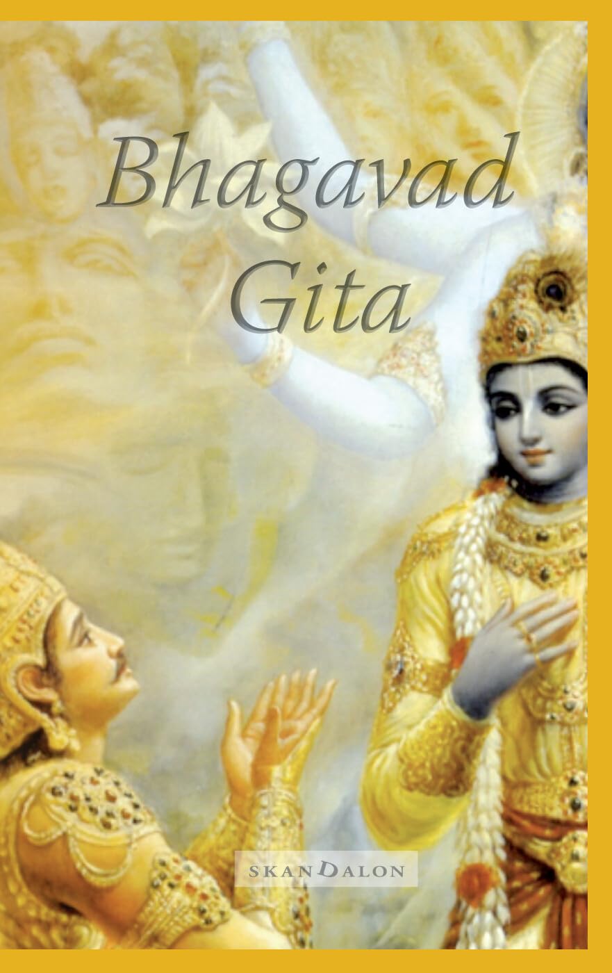 Bhagavad Gita: het klassieke boek van inzicht en bezinning book