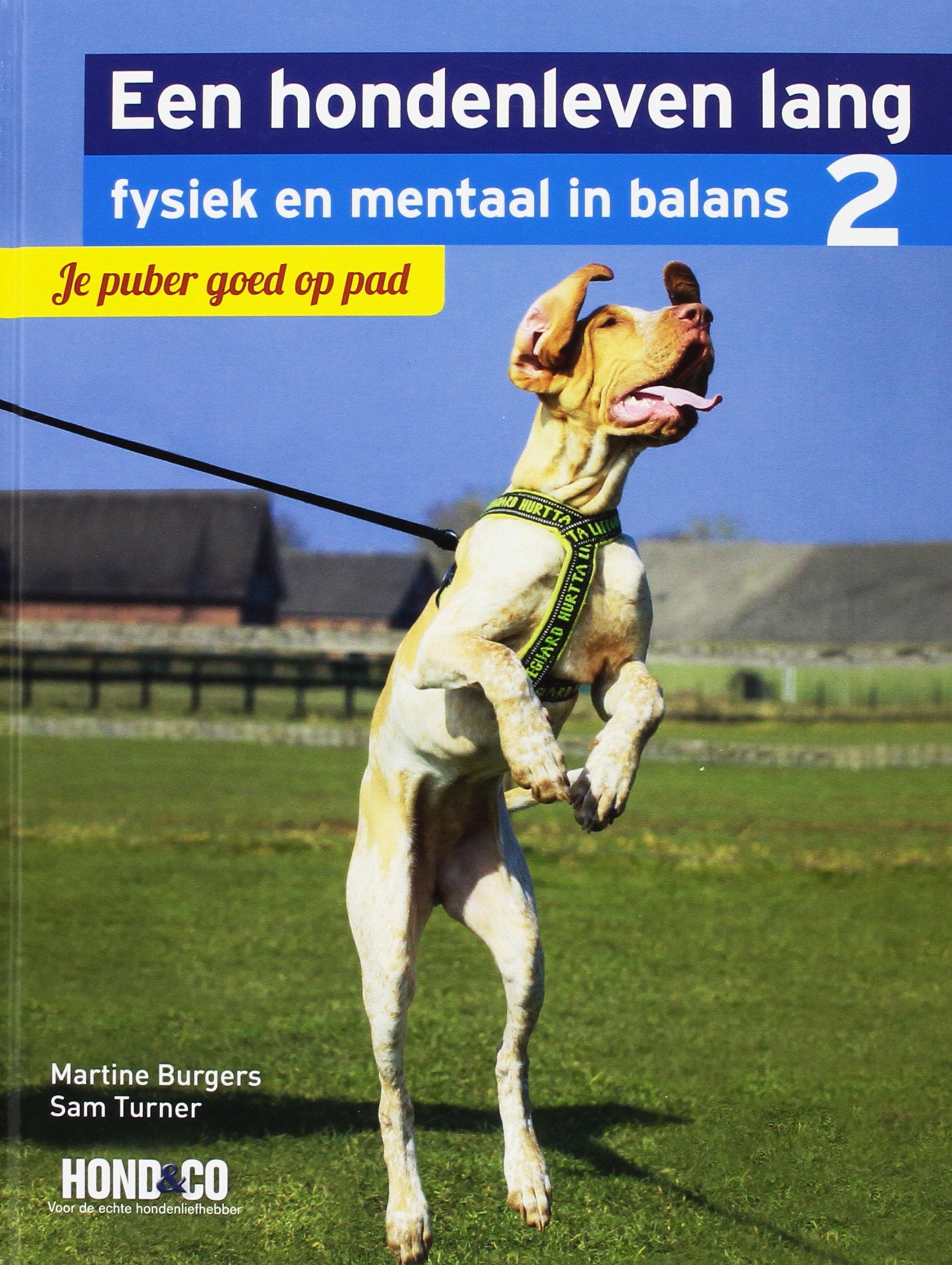 Je puber goed op pad book