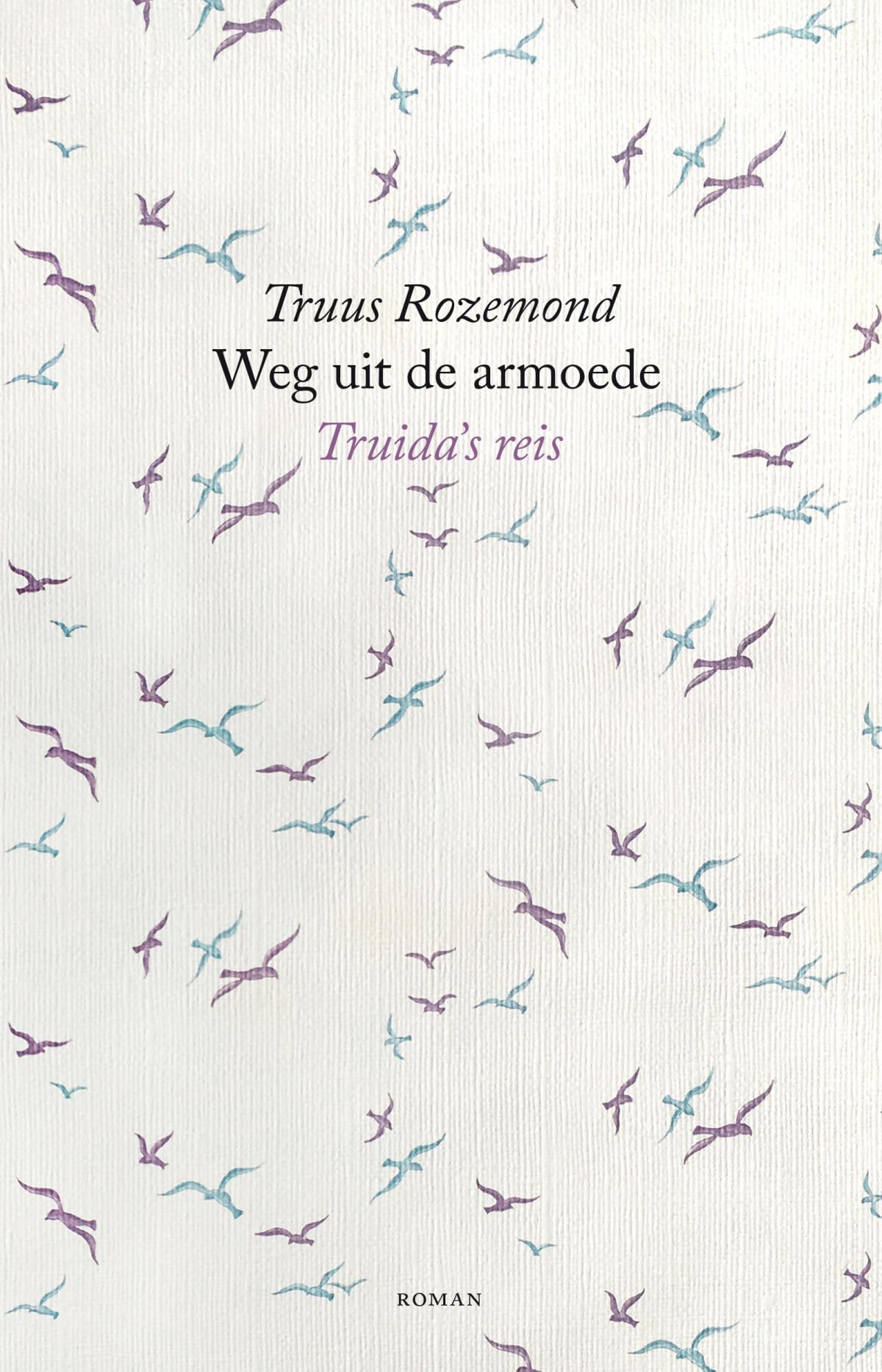 Weg uit de armoede: Truida's reis book