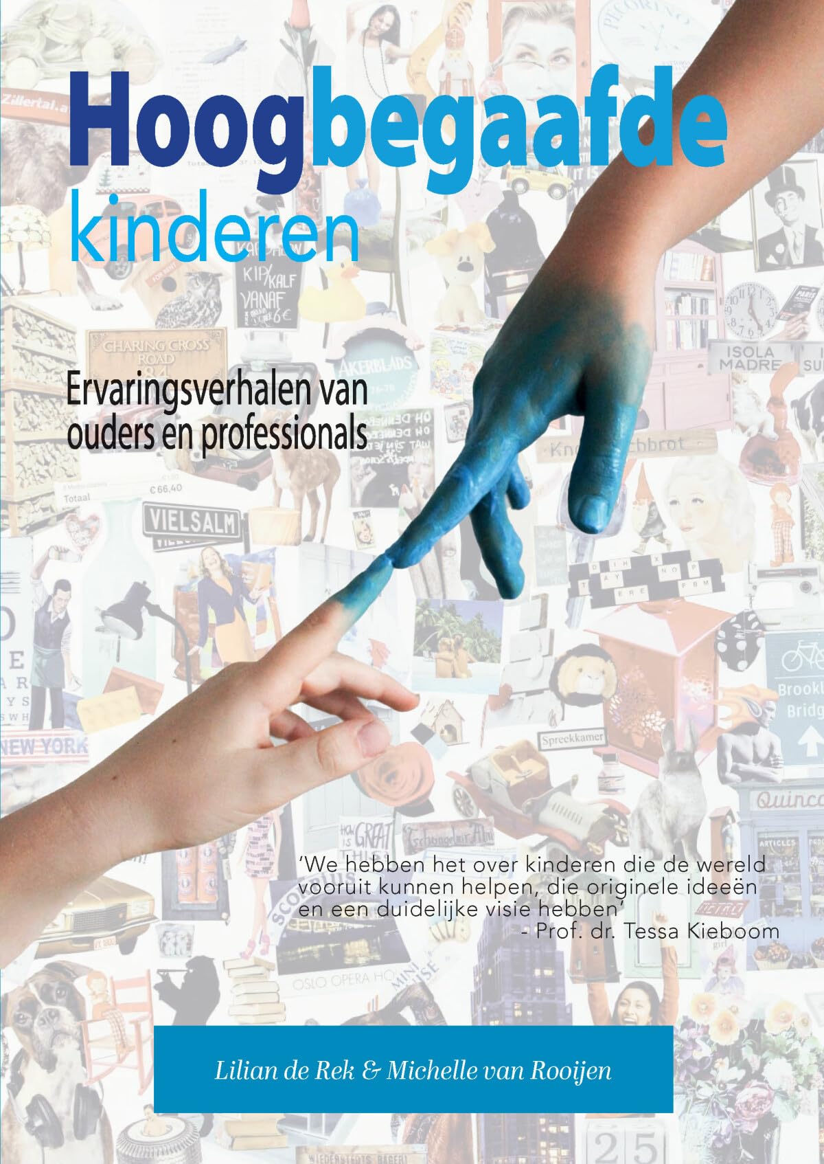 Hoogbegaafde kinderen: Ervaringsverhalen van ouders en professionals book