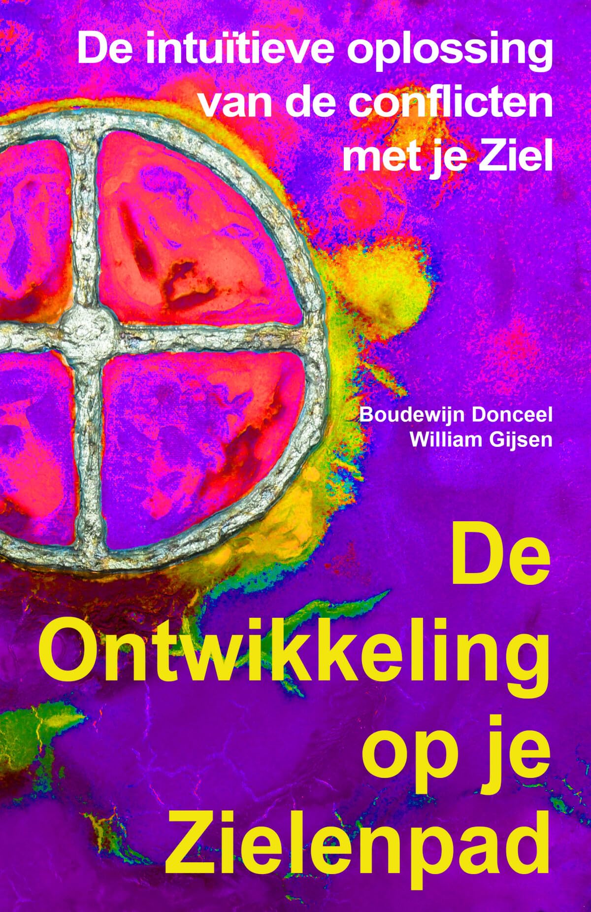 De ontwikkeling op je zielenpad: de intuïtieve oplossing van de conflicten met je ziel book