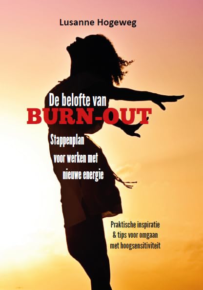 De belofte van burn-out: Stappenplan voor werken met nieuwe energie book