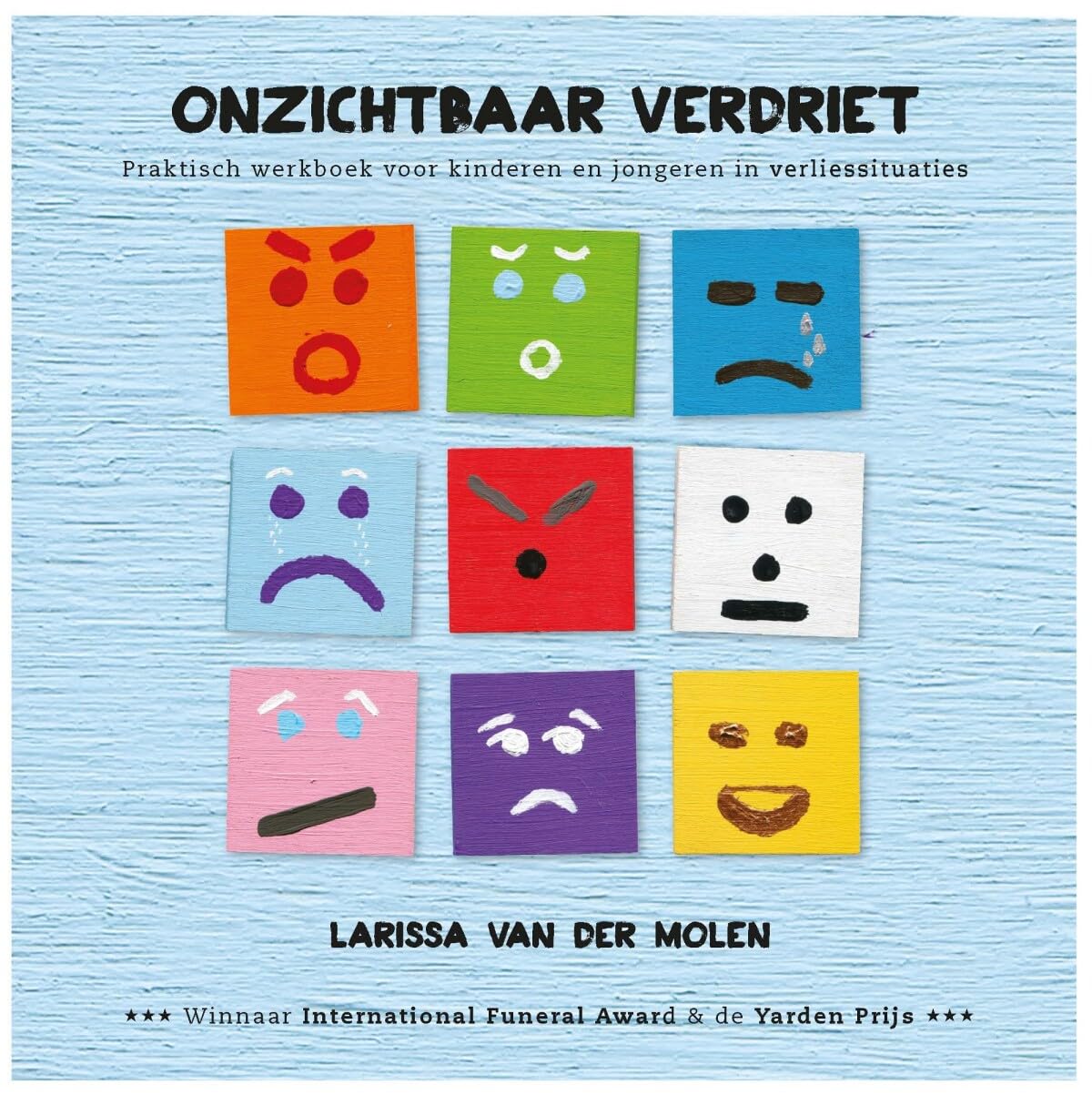 Onzichtbaar verdriet: praktisch werkboek voor kinderen en jongeren in verliessituaties book