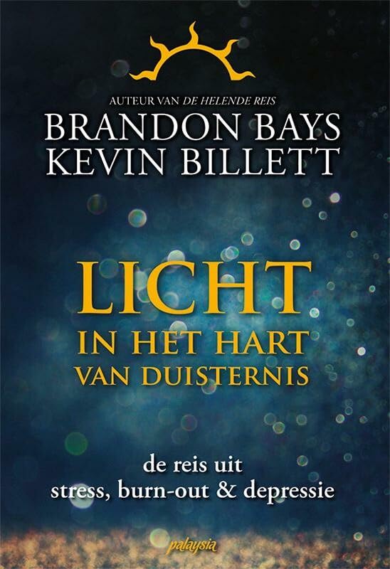 Licht in het hart van duisternis: de reis uit stress, burn-out en depressie (van de auteur van De Helende Reis) book