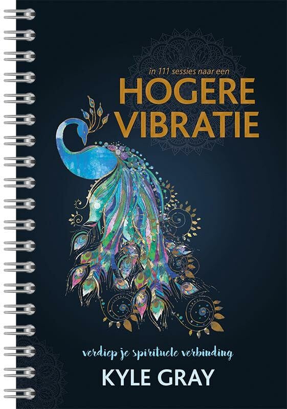 In 111 sessies naar een Hogere Vibratie: verdiep je spirituele verbinding book