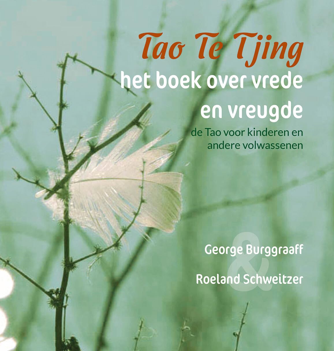 Tao Te Tjing voor kinderen en andere volwassenen: het boek over vrede en vreugde : Philosophy