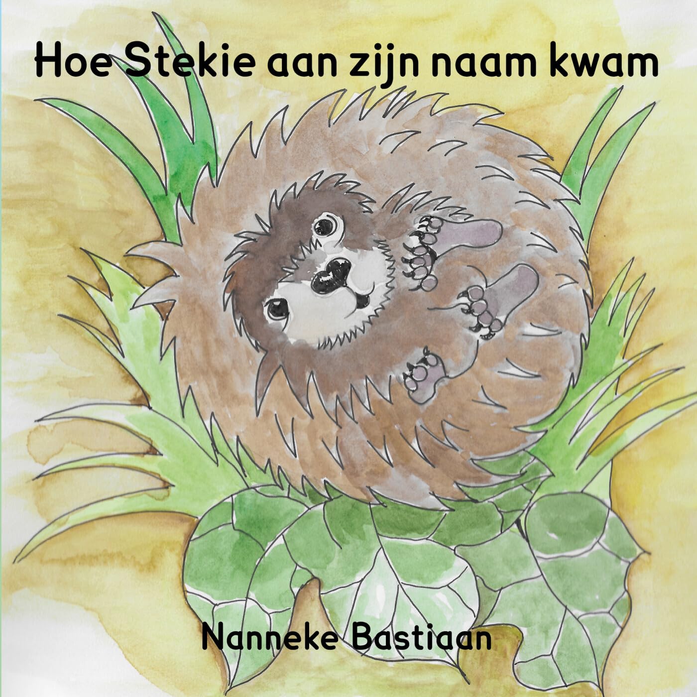 Hoe Stekie aan zijn naam kwam: Het verhaal van een klein driftig egeltje book