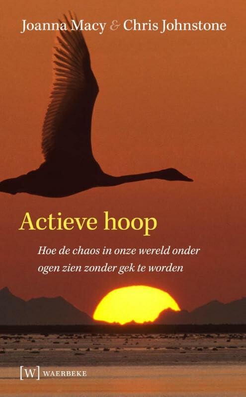 Actieve hoop: hoe de chaos in onze wereld onder ogen zien zonder gek te worden: hoe de chaos onder ogen zien zonder gek te worden Religion & Esotericism
