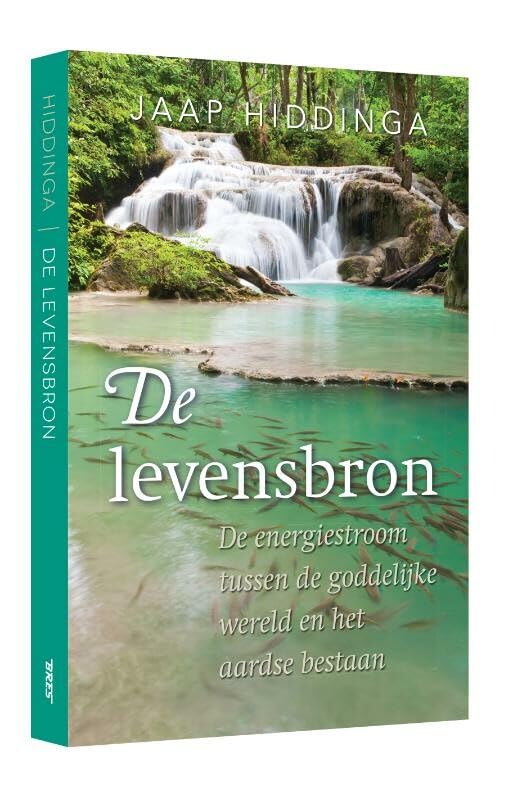 De levensbron: de energiestroom tussen de goddelijke wereld en het aardse bestaan book