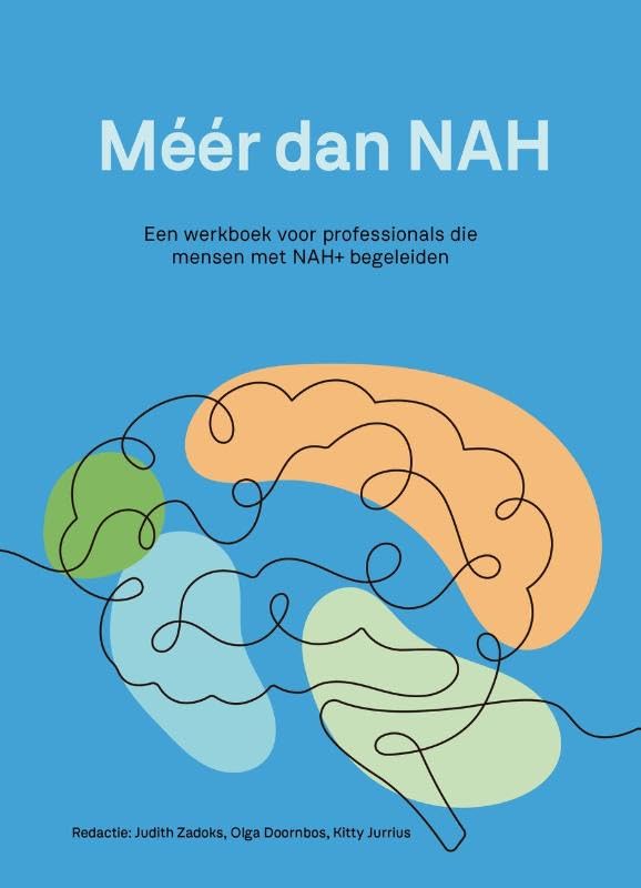 Méér dan NAH: Een werkboek voor professionals die mensen met NAH+ begeleiden book