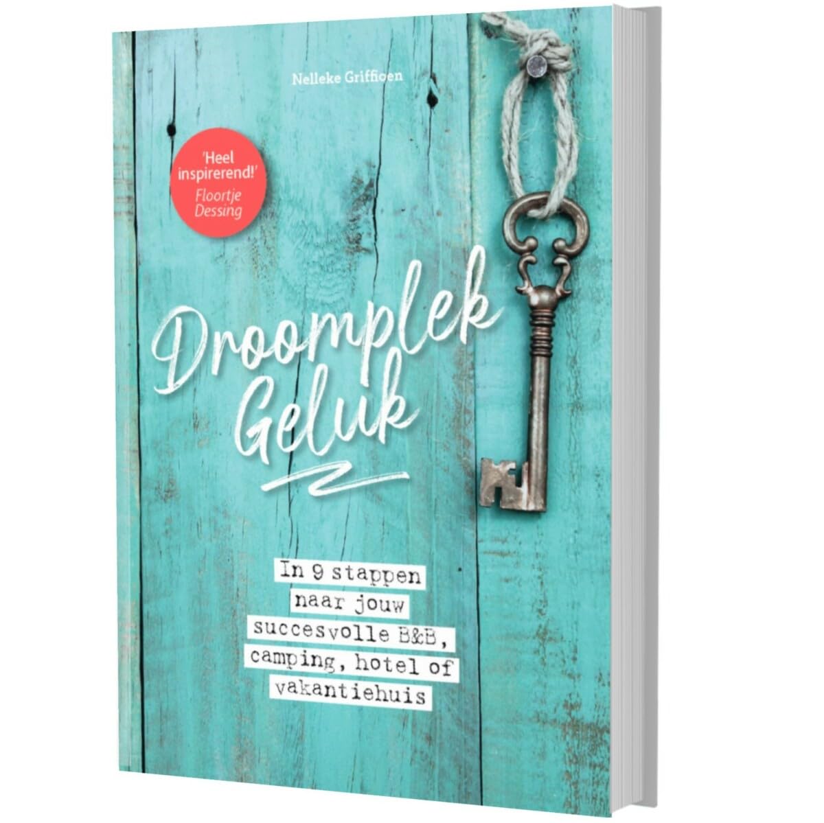 DroomplekGeluk: in 9 stappen naar jouw succesvolle B&B, camping, hotel of vakantiehuis book