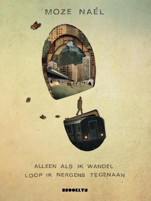 Alleen als ik wandel loop ik nergens tegenaan book