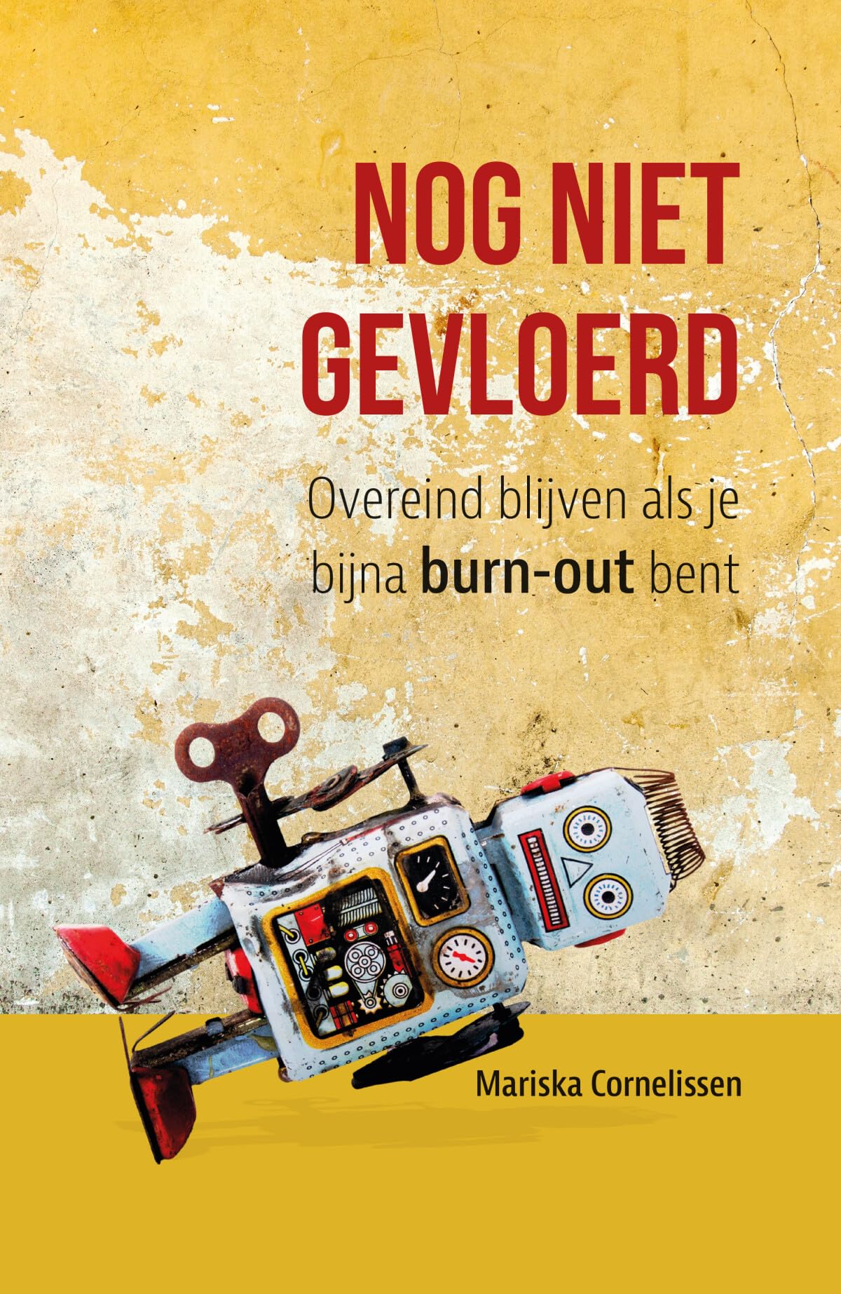 Nog niet gevloerd: overeind blijven als je bijna-burn-out bent book