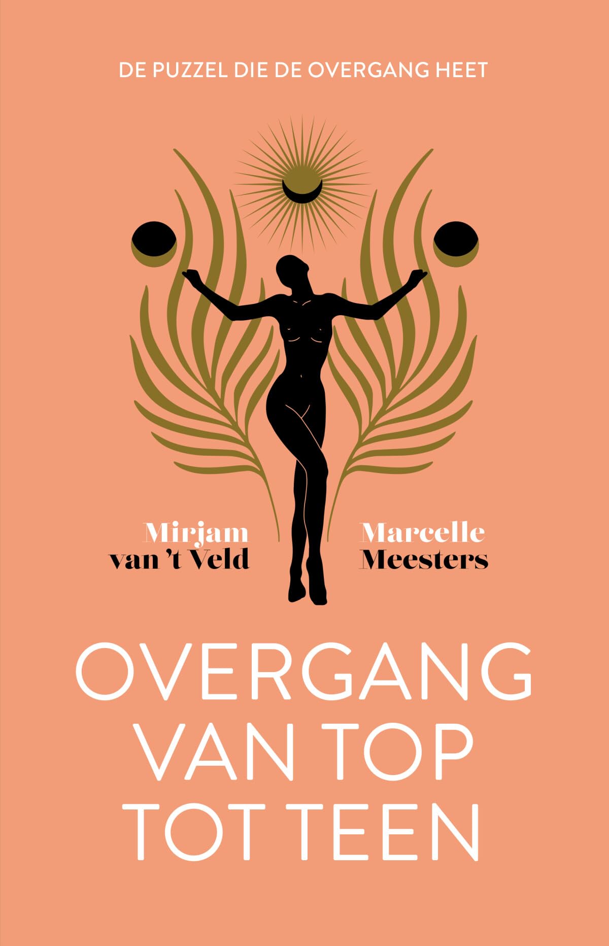 Overgang van top tot teen: de puzzel die de overgang heet book