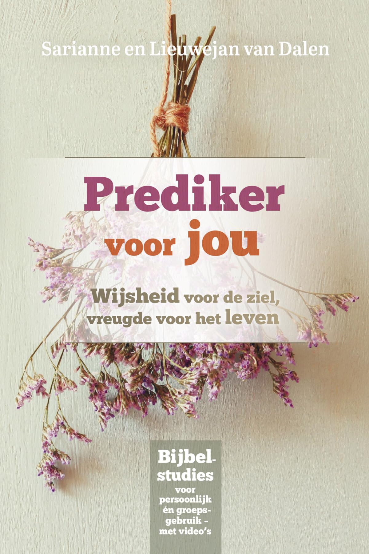 Prediker voor jou: Wijsheid voor de ziel, vreugde voor het leven book