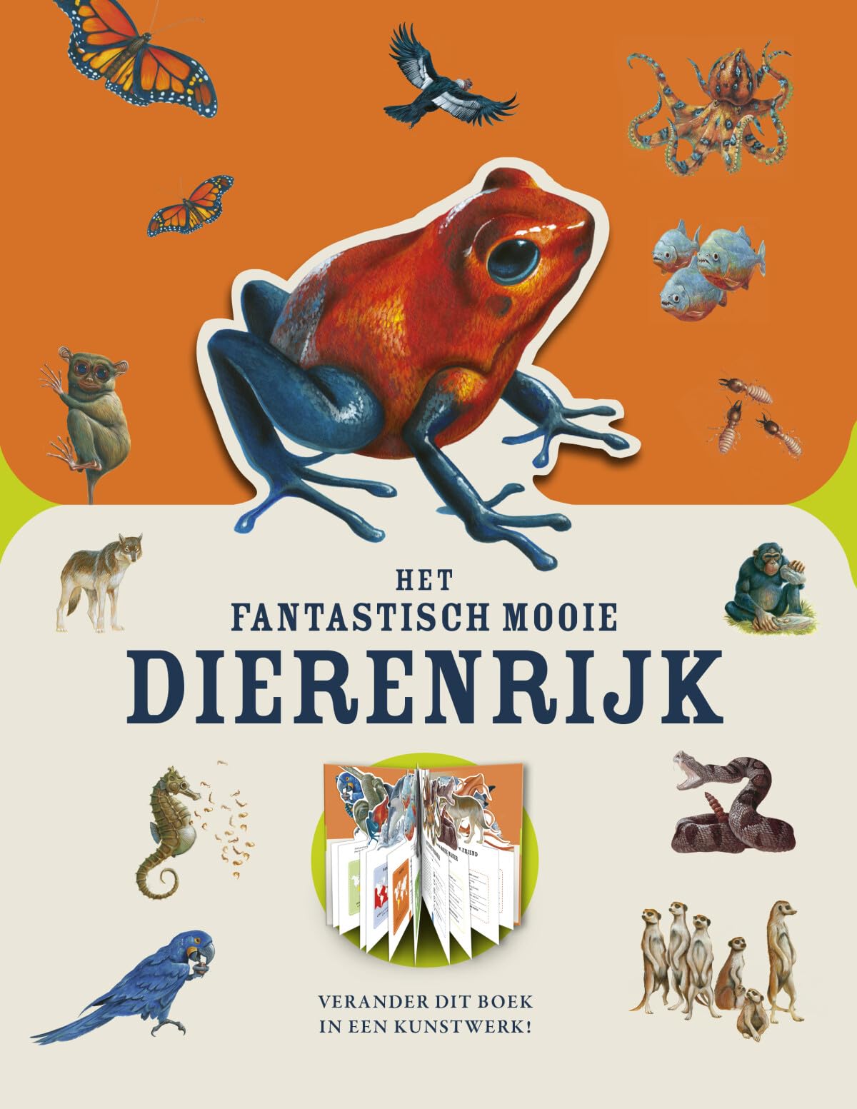 Het fantastisch mooie dierenrijk book