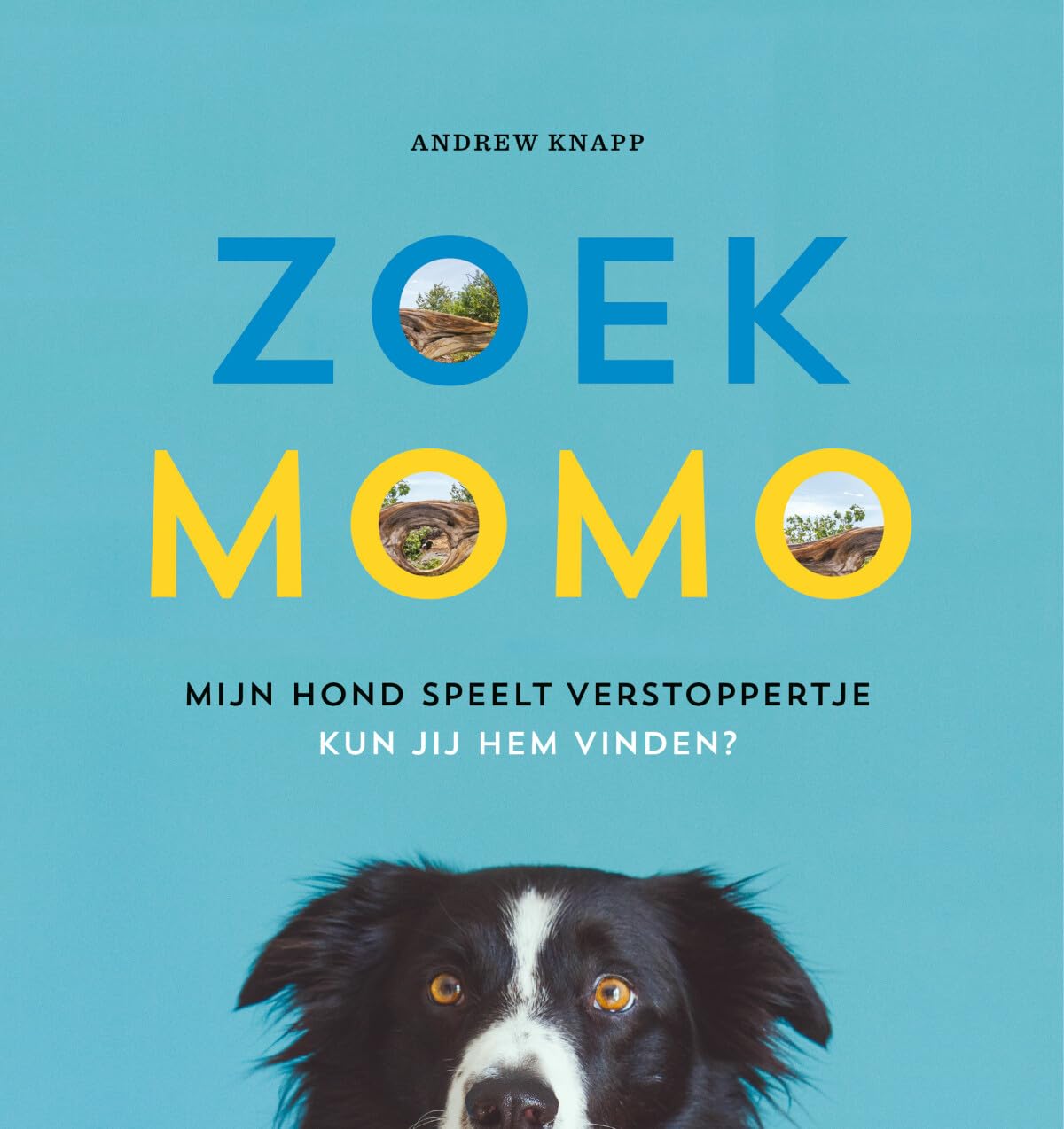 Zoek Momo: mijn hond speelt verstoppertje, kun jij hem vinden? book