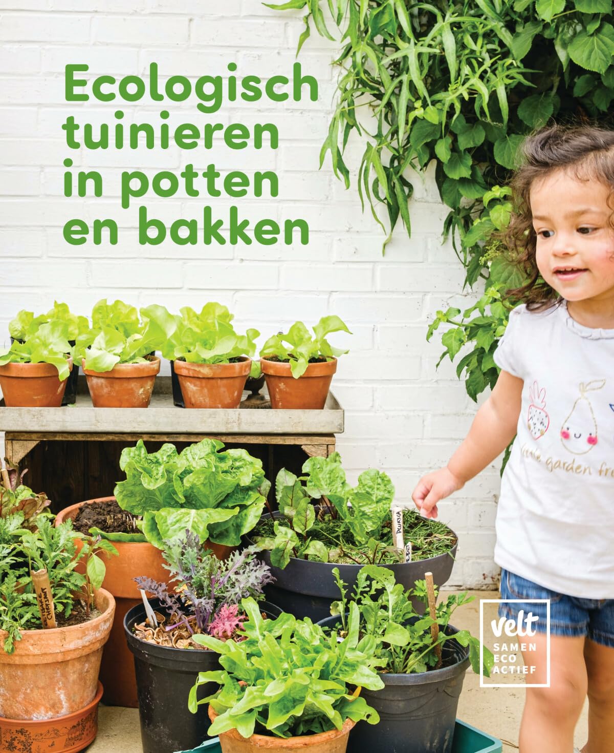 Ecologisch tuinieren in potten en bakken book
