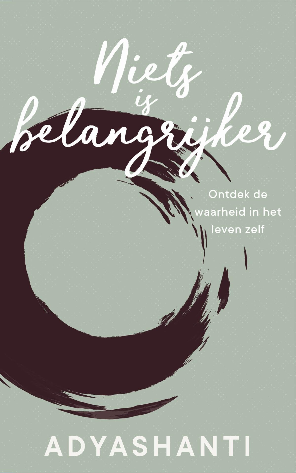Niets is belangrijker: ontdek de waarheid in het leven zelf Religion & Esotericism