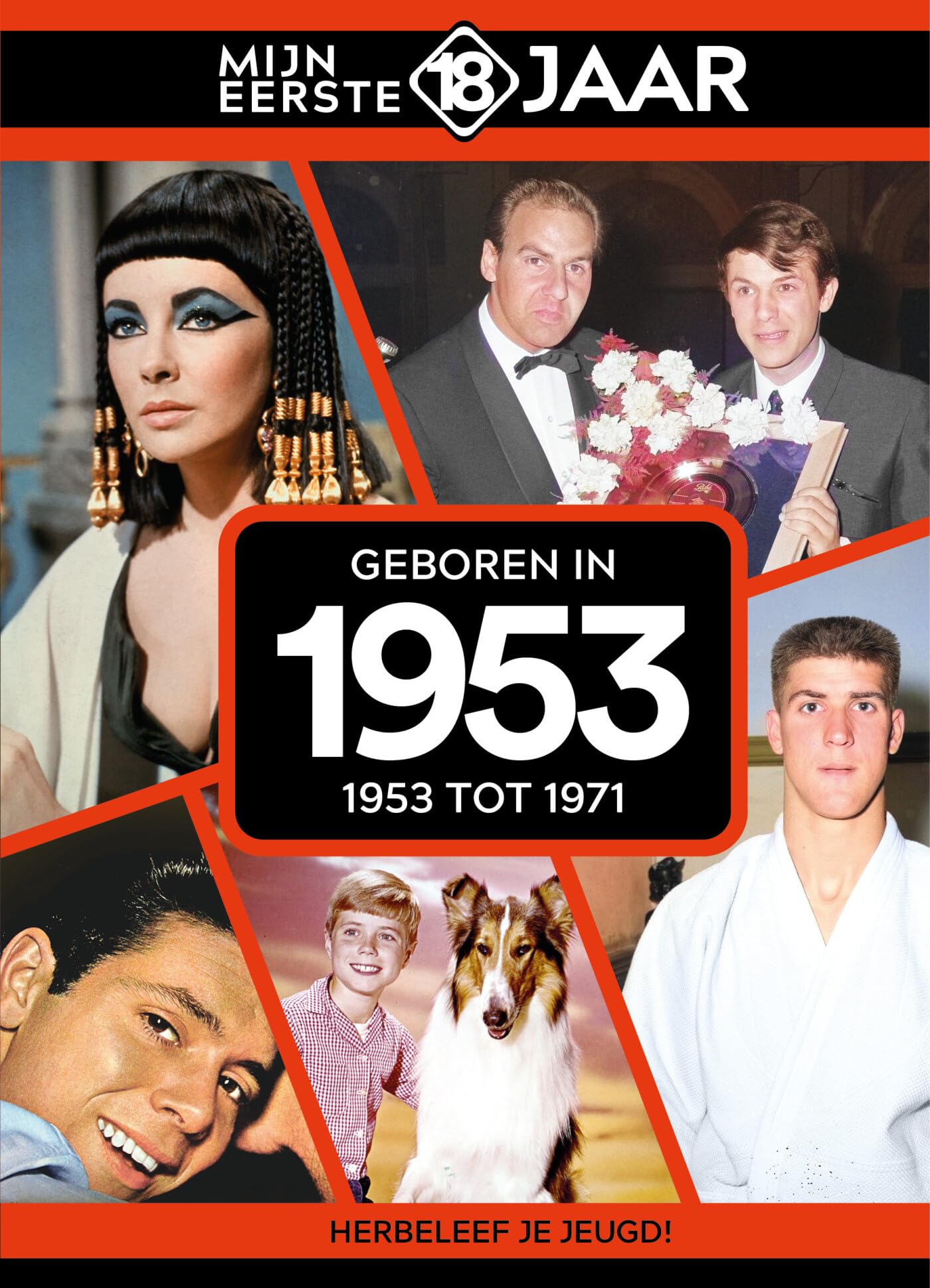 Geboren in 1953 book