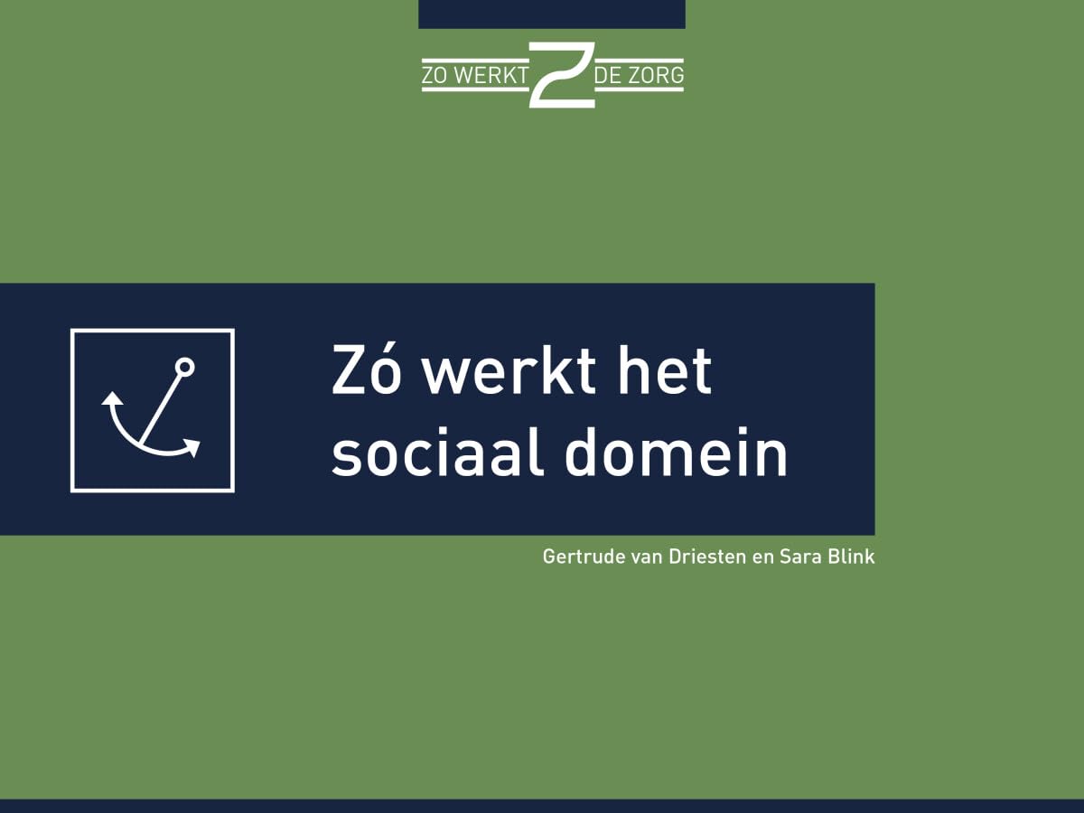 Zó werkt het sociaal domein book