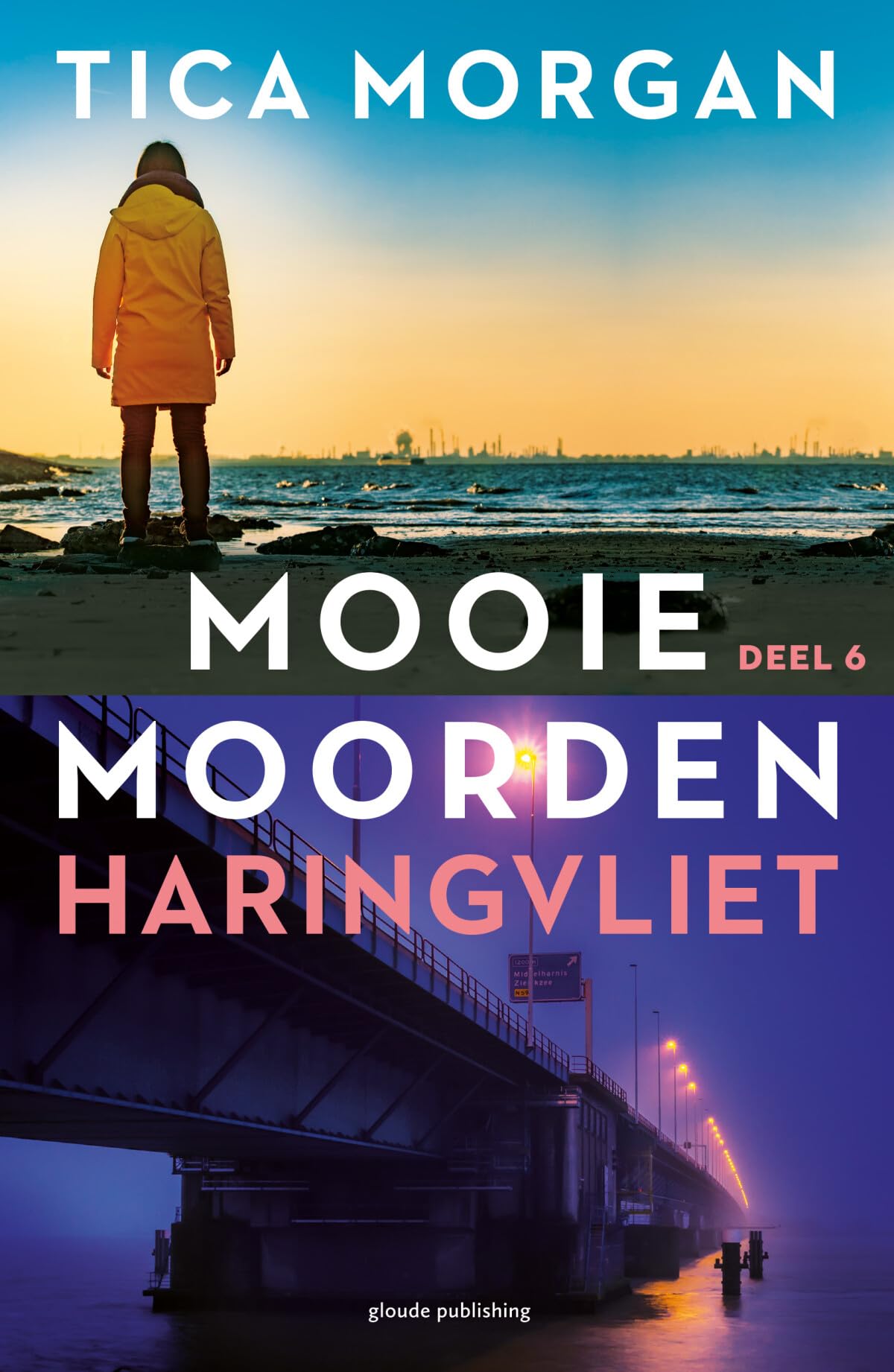 Haringvliet: Mooie Moorden 6 Contemporary literature