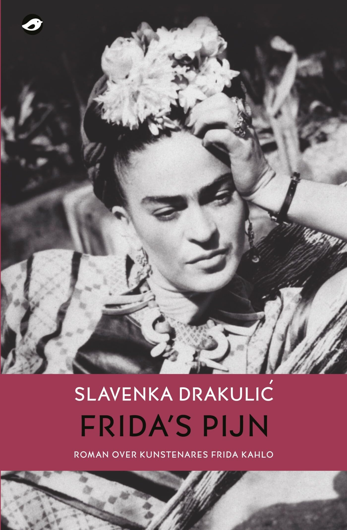 Frida's pijn: roman book