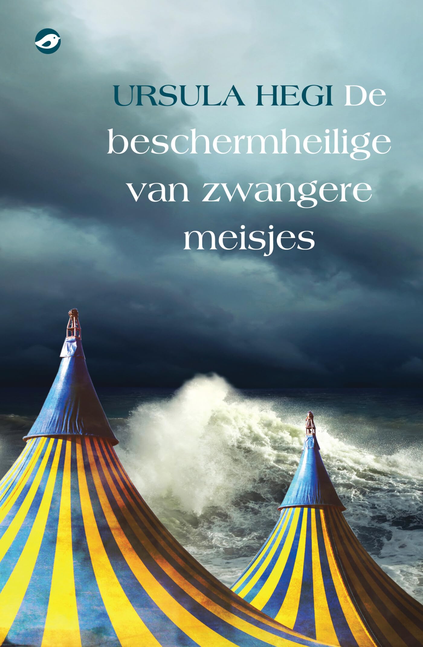 De beschermheilige van zwangere meisjes book