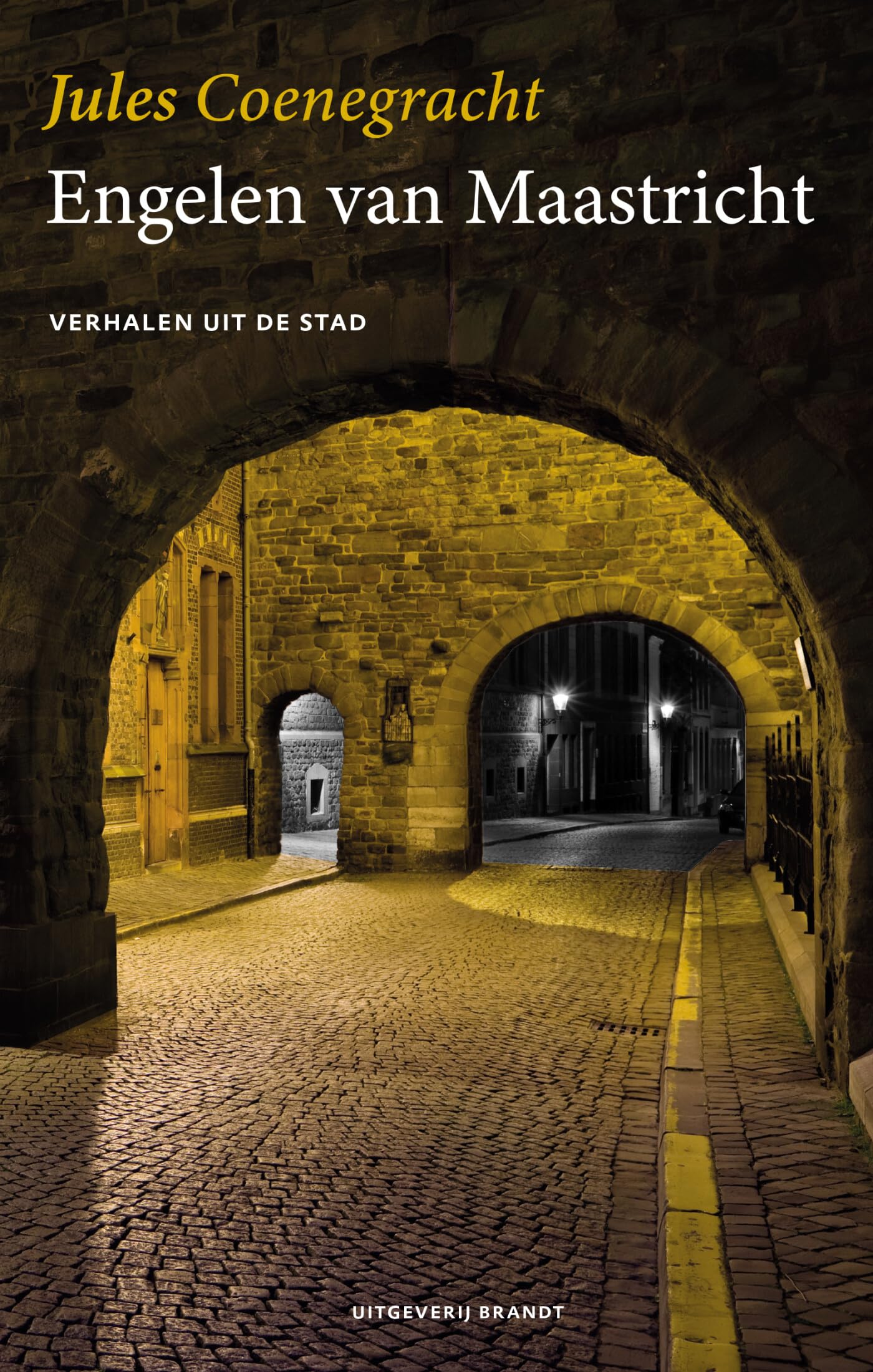 Engelen van Maastricht: verhalen uit de stad book