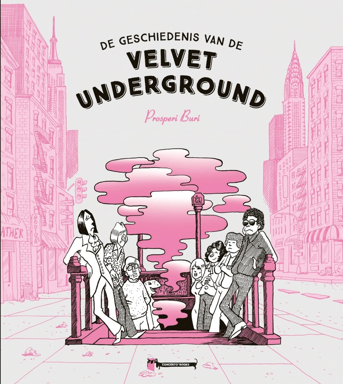 Een geschiedenis van de Velvet Underground book