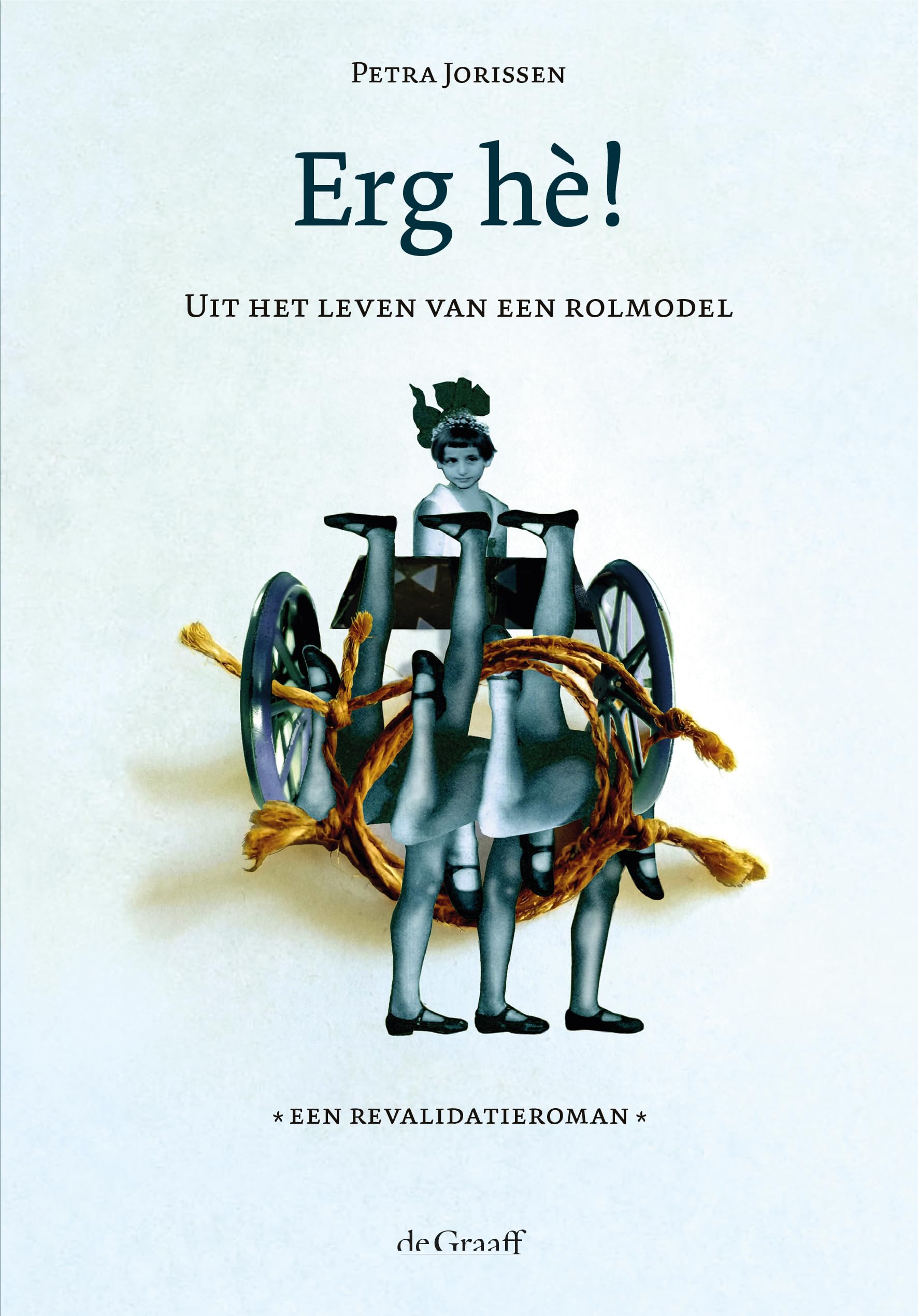 Erg hè!: Uit het leven van een rolmodel. Een revalidatieroman book