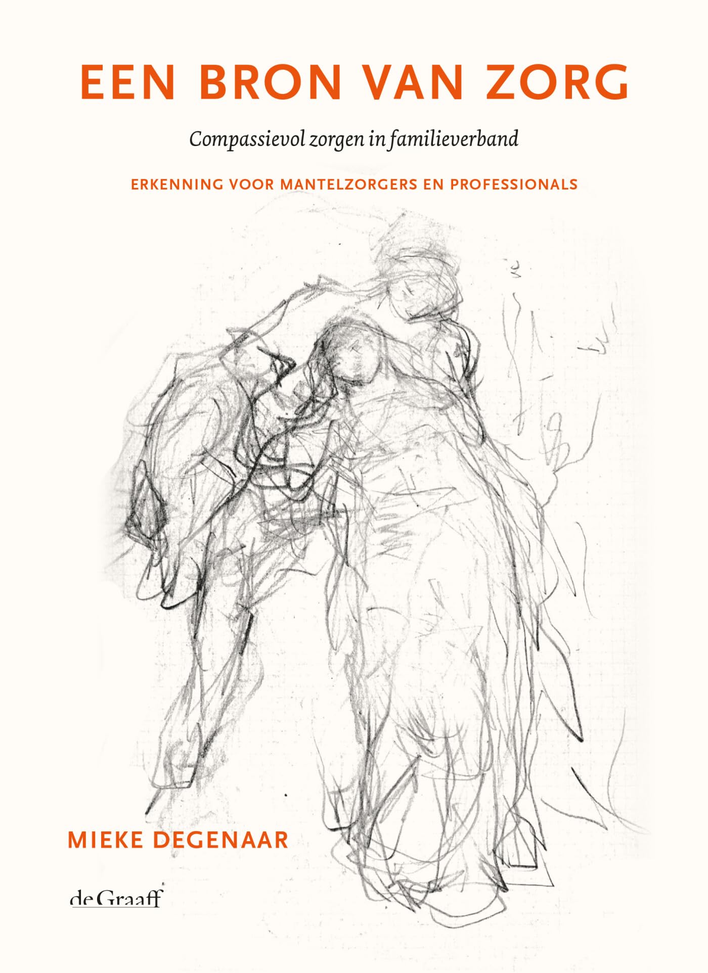 Een bron van zorg: compassievol zorgen in familieverband : erkenning voor mantelzorgers en professionals book