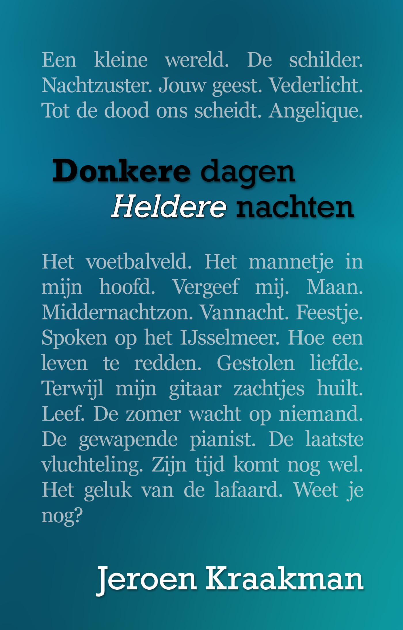 Donkere dagen, heldere nachten book