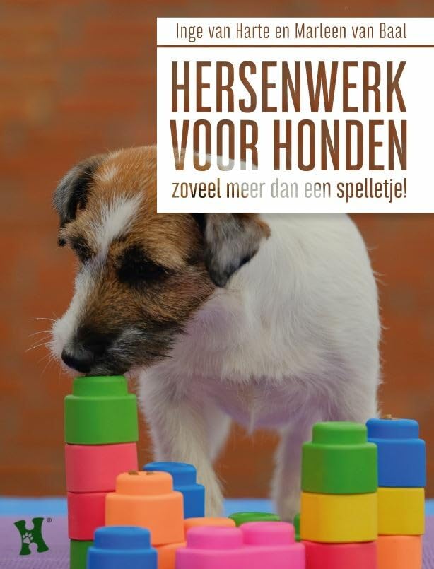Hersenwerk voor honden: zoveel meer dan een spelletje! Pets