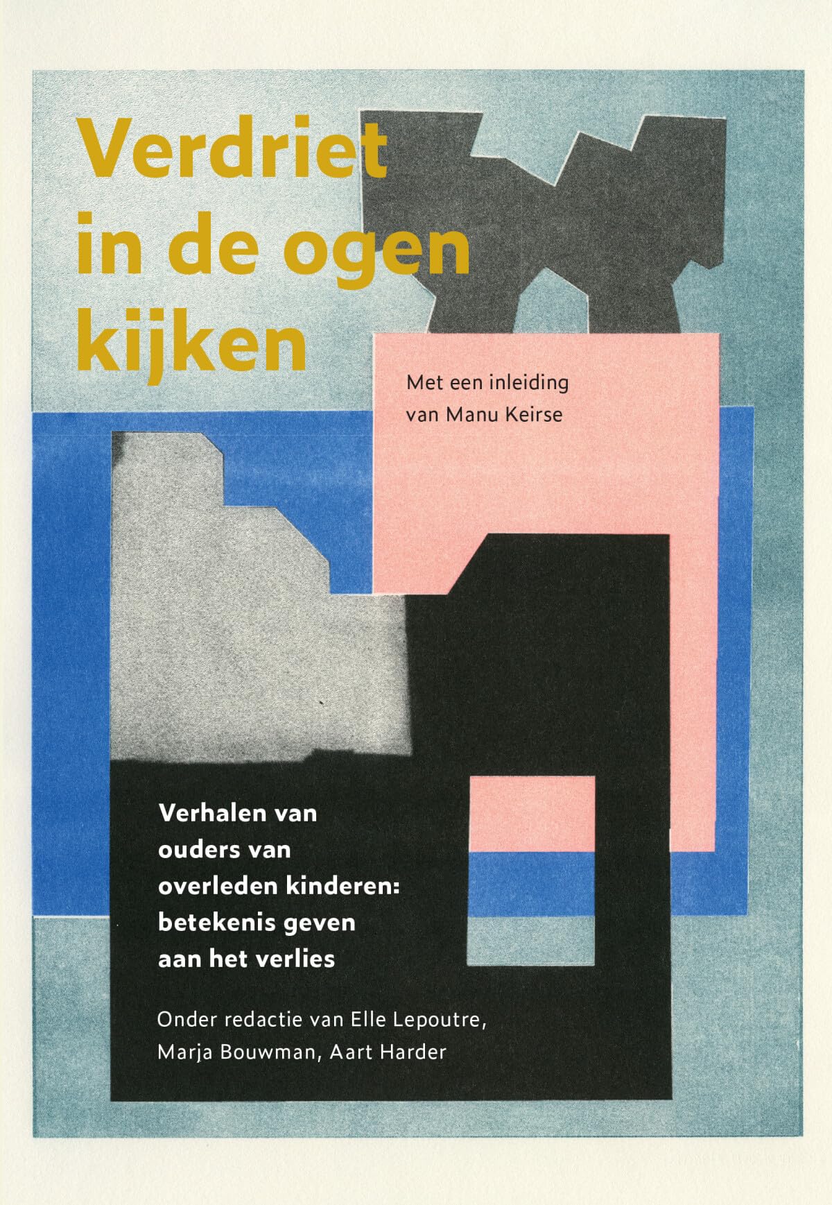 Verdriet in de ogen kijken: verhalen van ouders van overleden kinderen : betekenis geven aan het verlies book