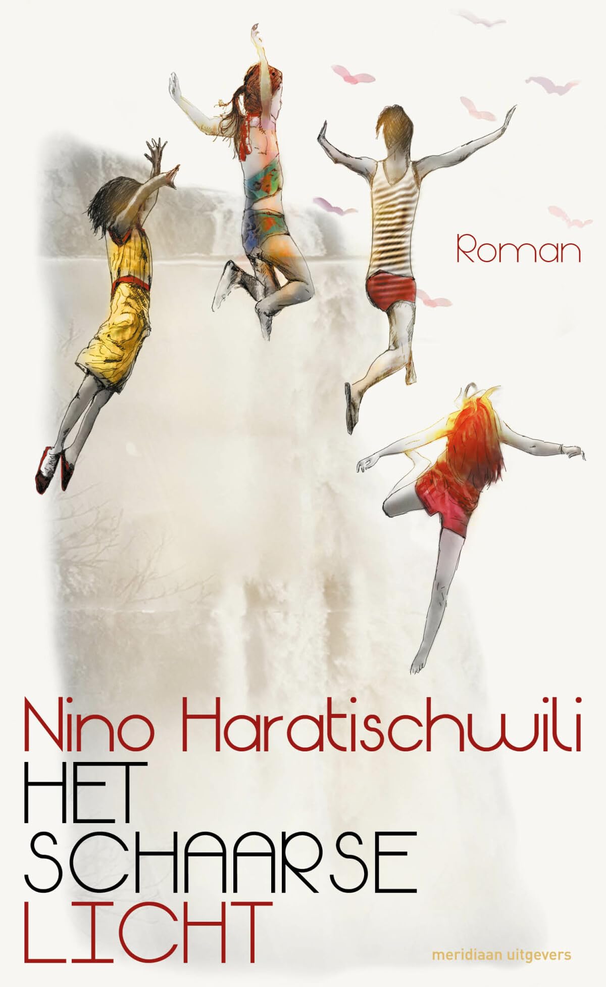 Het schaarse licht: roman book