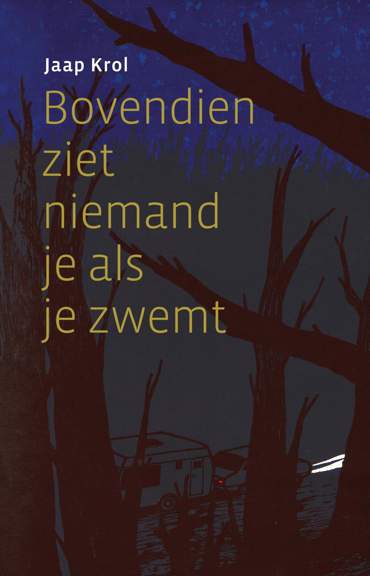 Bovendien ziet niemand je als je zwemt book