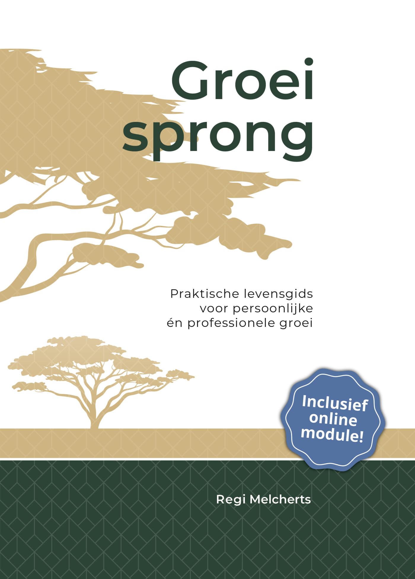 Groeisprong: Praktische levensgids voor persoonlijke en professionele groei book