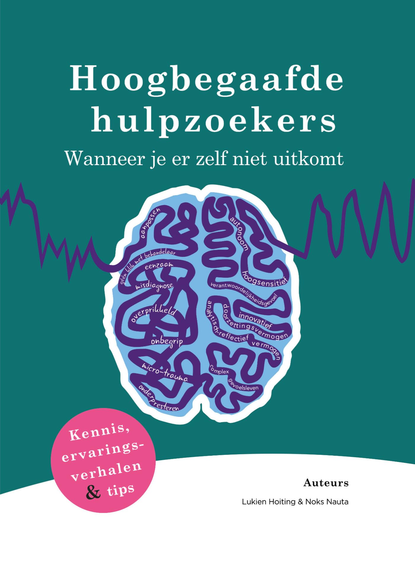 Hoogbegaafde hulpzoekers: wanneer je er zelf niet uitkomt Medicine