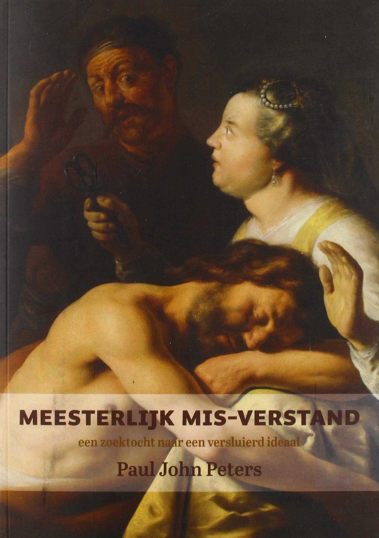 Meesterlijk mis-verstand: een zoektocht naar een versluierd ideaal book