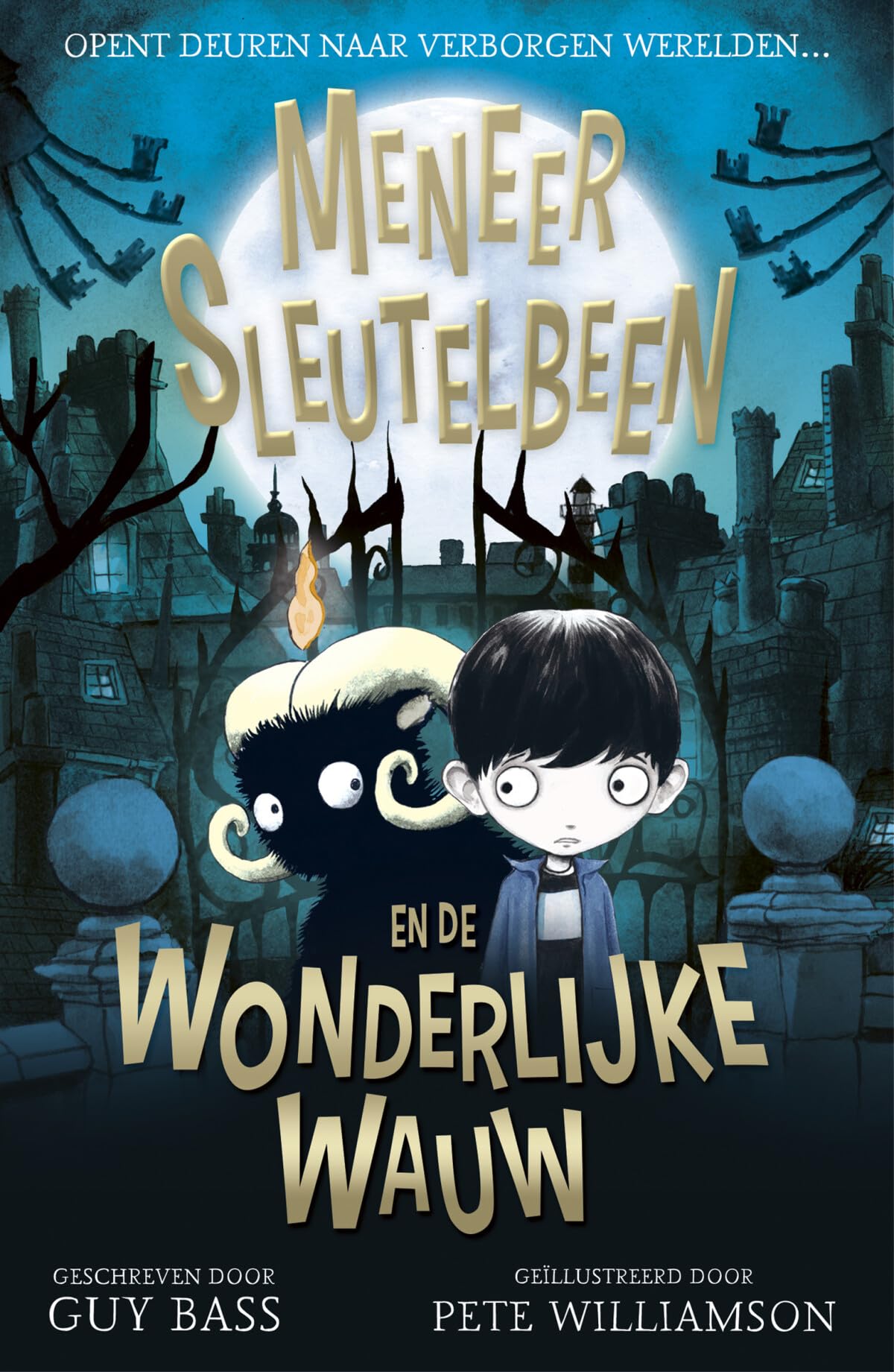 Meneer Sleutelbeen en de wonderlijke Wauw book