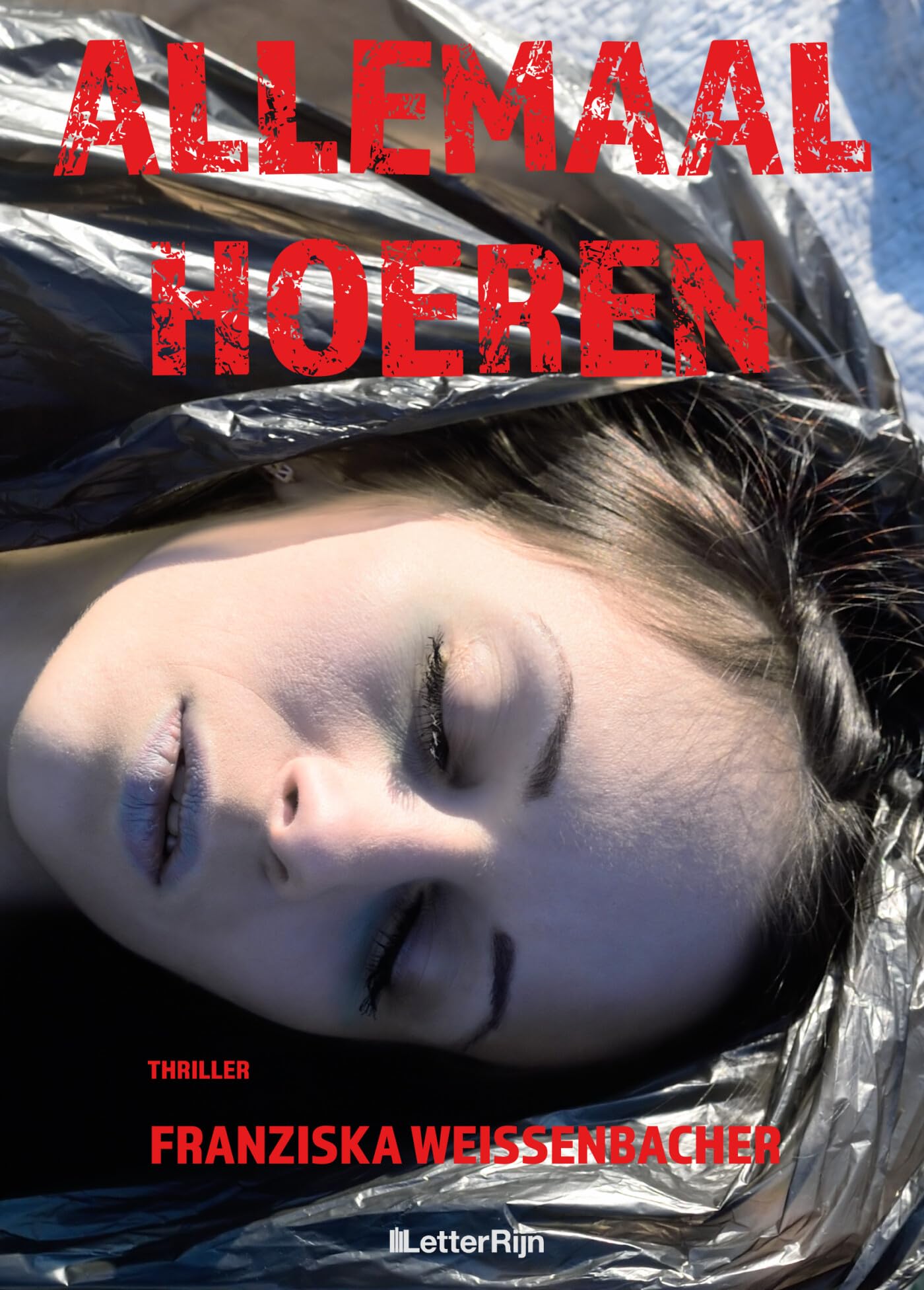 Allemaal hoeren Contemporary literature