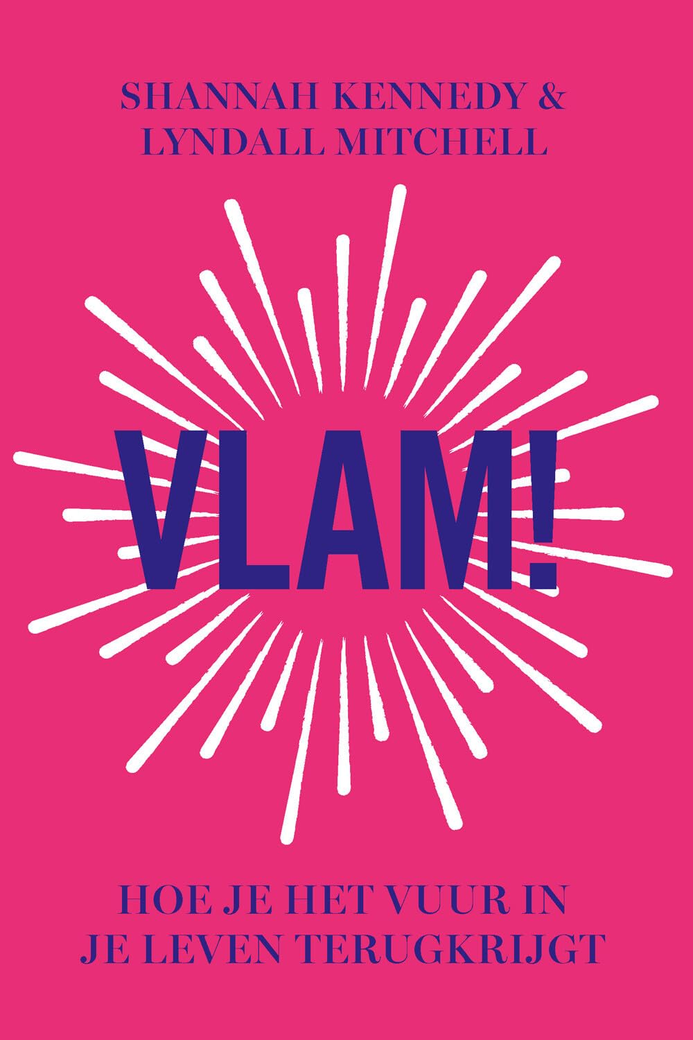 Vlam!: hoe je het vuur in je leven terugkrijgt book